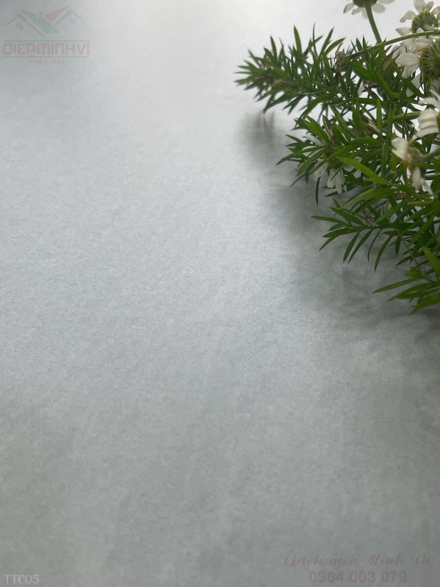 Bề mặt gạch 80x80 màu xám sáng mờ mịn chống trơn dễ vệ sinh