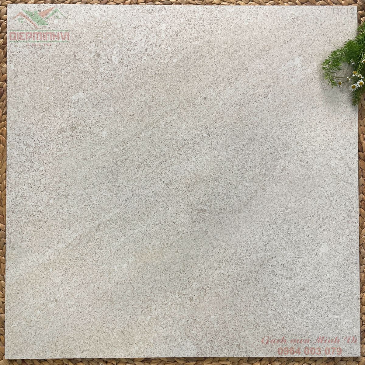 Gạch lát nền 80x80 màu kem ghi TTC012 bề mặt Microdio Surface cao cấp