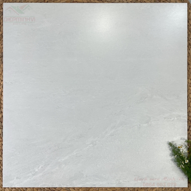 Gạch 80x80 Màu Xám Sáng Mờ Mịn TTC05 Lát Nền Phòng Khách Hiện Đại